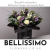 Bellissimo Flowers