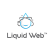 Liquid Web