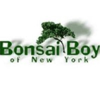 Bonsai Boy